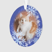 Pet Cat Christmas Blue Ornament (Vorderseite)