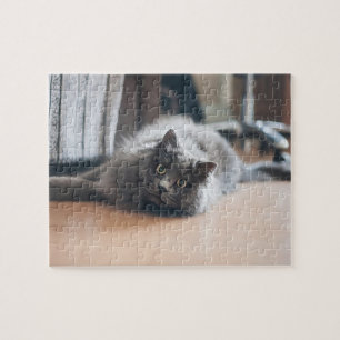 Pet Cat Kitten Fun anpassen Puzzle
