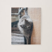 Pet Cat Kitten Fun anpassen Puzzle (Vertikal)