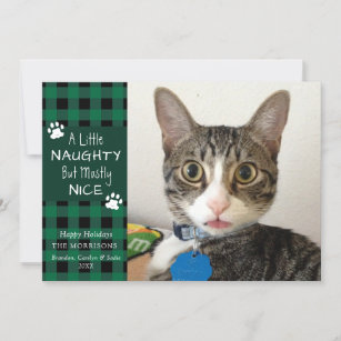 Pet Cat Naughty und Nice Green Black Kariert Feiertagskarte