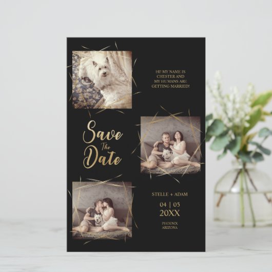 Pet Cheap Moderne Kalligraphie 3 Fotos Verlobung  (Stehend Vorderseite)