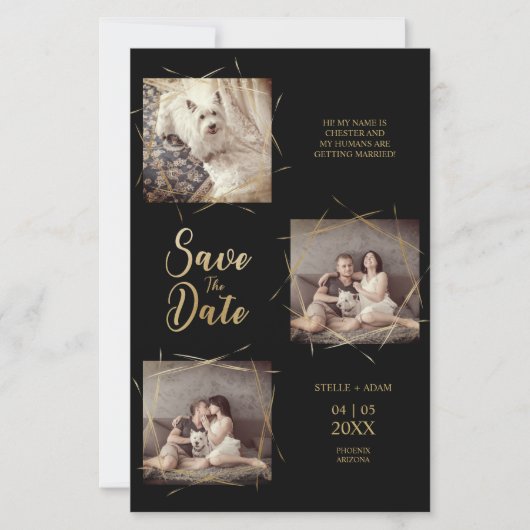 Pet Cheap Moderne Kalligraphie 3 Fotos Verlobung (Vorderseite)