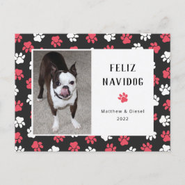 Pet Christmas Card Foto Funny Postkarte