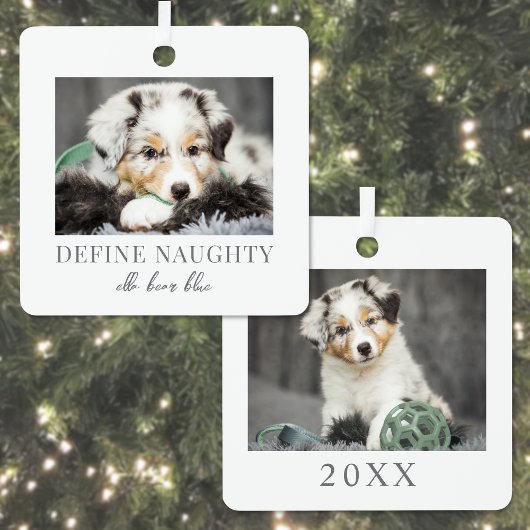 Pet Definieren Naughty Dog Foto Weihnachten Ornament Aus Metall