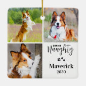 Pet Definition naughty Dog Foto Collage Weihnachte Keramikornament (Rückseite)