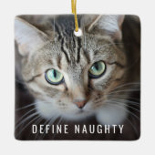 Pet Definition Naughty | Weihnachtsbaum des Fotos Keramikornament (Vorderseite)