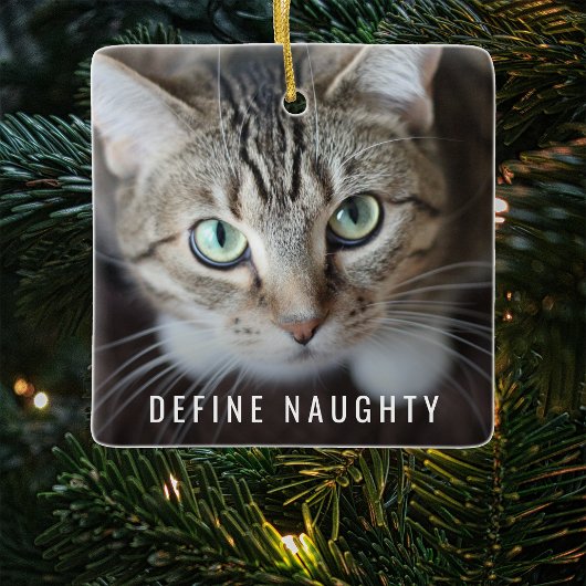 Pet Definition Naughty | Weihnachtsbaum des Fotos Keramikornament
