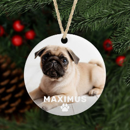 Pet Dog Einfache Paw Print Individuelle Name Foto Ornament