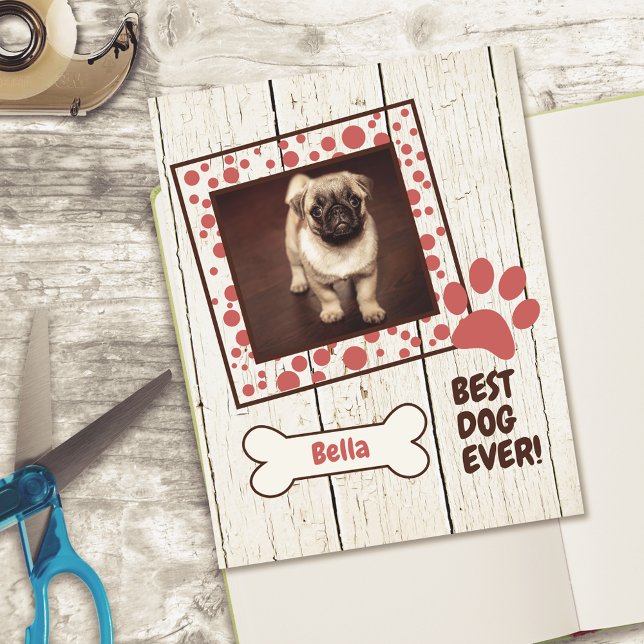 Pet Dog Girl Foto Scrapbook Cardstock (Von Creator hochgeladen)