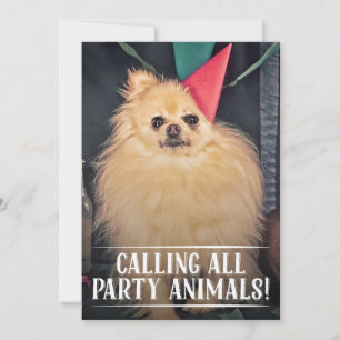 PET DOGS GEBURTSTAG PARTY FOTO INVITE EINLADUNG