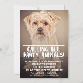 PET DOG'S PARTY FOTO INVITE EINLADUNG