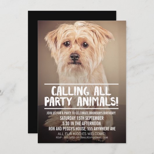 PET DOG'S PARTY FOTO INVITE EINLADUNG (Vorne/Hinten)