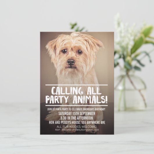 PET DOG'S PARTY FOTO INVITE EINLADUNG (Stehend Vorderseite)