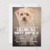 PET DOG'S PARTY FOTO INVITE EINLADUNG (Vorderseite)
