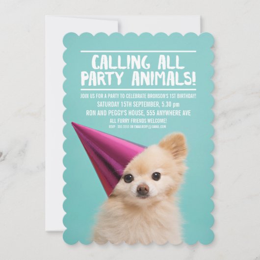 PET DOG'S PUPPY PARTY FOTO INVITE EINLADUNG (Vorderseite)