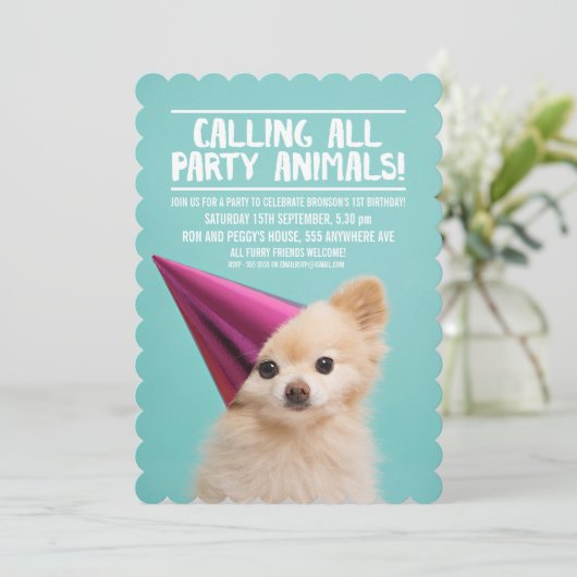 PET DOG'S PUPPY PARTY FOTO INVITE EINLADUNG (Stehend Vorderseite)