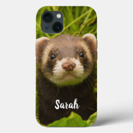 Pet Ferret im Gras Case-Mate iPhone Hülle