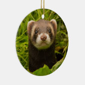 Pet Ferret im Gras Keramik Ornament (Rechts)