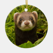 Pet Ferret im Gras Keramik Ornament (Vorne)