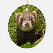 Pet Ferret im Gras Keramik Ornament (Links)