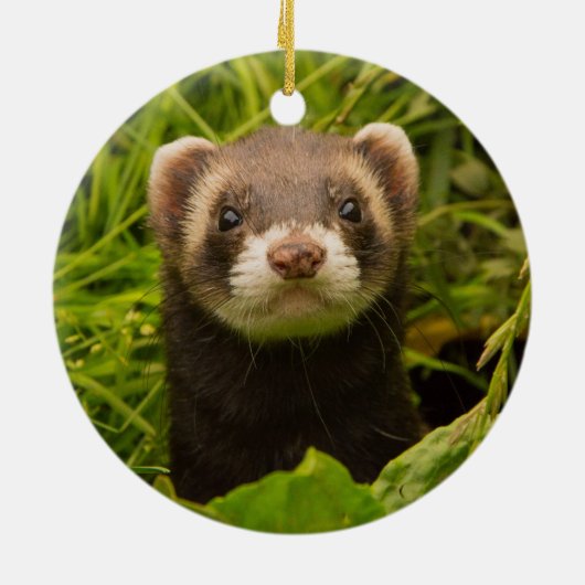 Pet Ferret im Gras Keramik Ornament (Hinten)