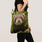 Pet Ferret im Gras Tasche (Von Nahem)