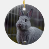 Pet First CHRISTMAS Foto Kariert Personalisiert Keramik Ornament (Hinten)