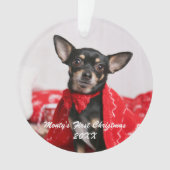 Pet First Christmas Ornament (Vorderseite)