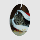 Pet First Christmas Ornament (Vorderseite)