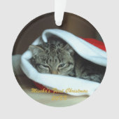 Pet First Christmas Ornament (Vorderseite)