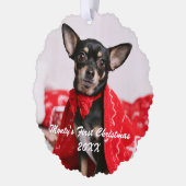 Pet First Christmas Ornament Karte (Links)