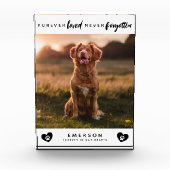 Pet Forever Love nie vergessen Foto Block (Vorderseite)