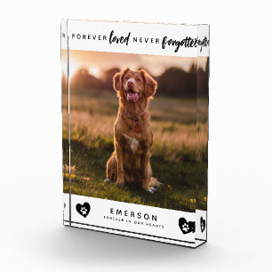 Pet Forever Love nie vergessen Foto Block