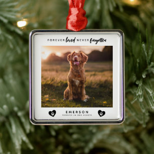 Pet Forever Love nie vergessen Foto Block Ornament Aus Metall
