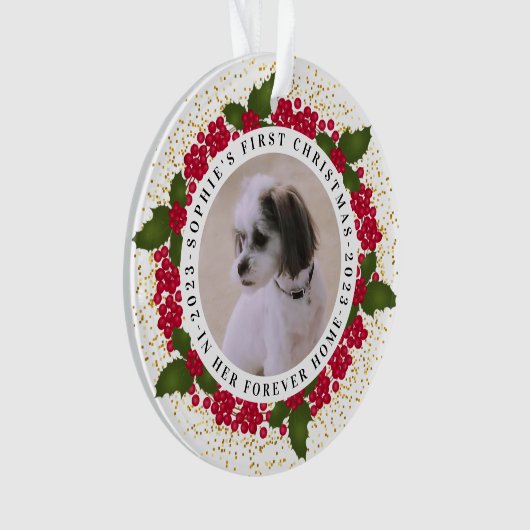 Pet Forever Zuhause Erste Weihnachtsfeier Ornament (Vorderseite)