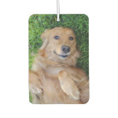 Pet Foto Air Freshener Autolufterfrischer (Vorderseite)