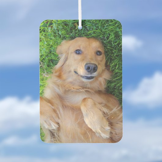Pet Foto Air Freshener Autolufterfrischer