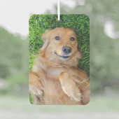 Pet Foto Air Freshener Autolufterfrischer