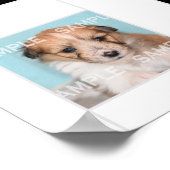 Pet Foto Collage 18 Montag Keepake DIY Poster (Ecke)