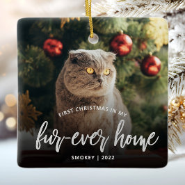Pet Foto Erste Weihnachtsfeier Forever Zuhause Sil Keramikornament