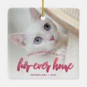 Pet Foto Erste Weihnachtsferien Forever Zuhause Pi Keramikornament (Rückseite)
