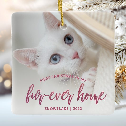 Pet Foto Erste Weihnachtsferien Forever Zuhause Pi Keramikornament