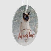 Pet Foto Erste Weihnachtsferien Forever Zuhause Ro Ornament (Vorderseite)