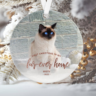Pet Foto Erste Weihnachtsferien Forever Zuhause Ro Ornament