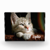 Pet-Foto Fotoblock (Vorderseite)