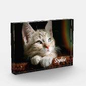 Pet-Foto Fotoblock (Links)