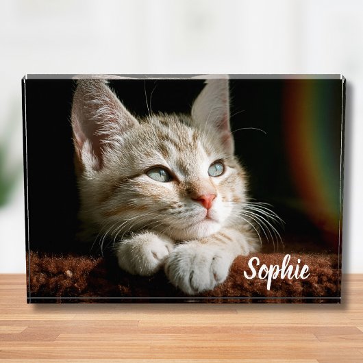 Pet-Foto Fotoblock