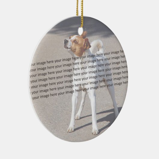 PET-Foto ✨ Keramik Ornament (Rechts)
