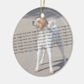 PET-Foto ✨ Keramik Ornament (Links)