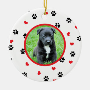 pet Foto mit niedlichem süßem Tatzen- und Keramikornament